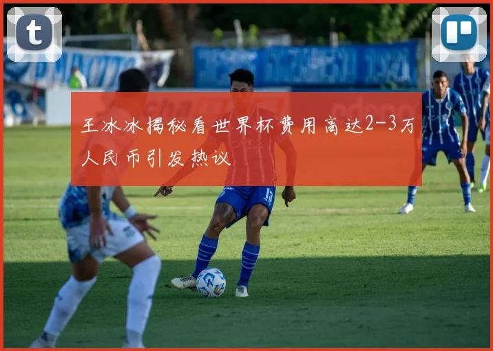 王冰冰揭秘看世界杯费用高达2-3万人民币引发热议