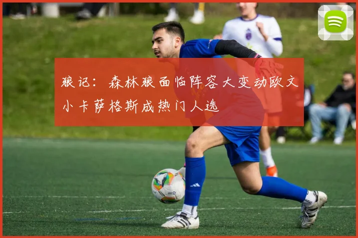 狼记：森林狼面临阵容大变动欧文小卡萨格斯成热门人选