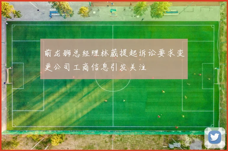 前龙狮总经理林葳提起诉讼要求变更公司工商信息引发关注